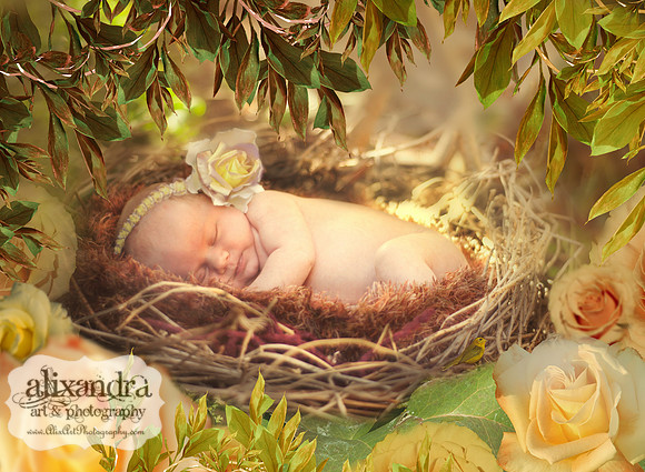 "Sleeping Beauty" .. Garden styling with bird-nest prop