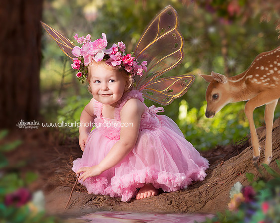 A Spring Fairy