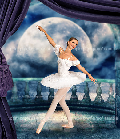 Moonlight Arabian Dancer