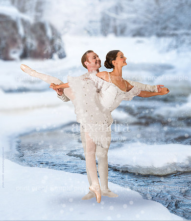 Winter's Dance Nutcracker