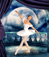 Moonlight Arabian Dancer