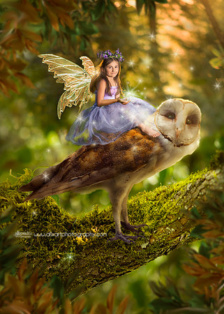 Spring Fairy Owl Journey
