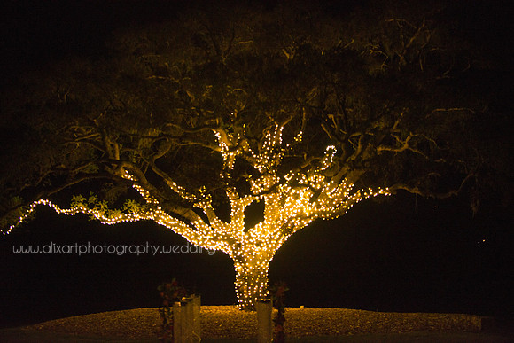 Golf Course Gorgeous Bridal Wedding