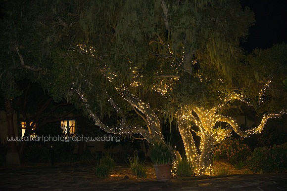 Golf Course Gorgeous Bridal Wedding
